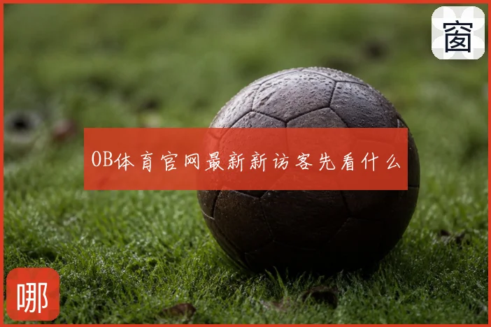 OB体育官网最新新访客先看什么